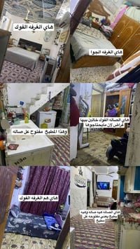 بيت زراعي • سند ٢٥ • ٥٠م
