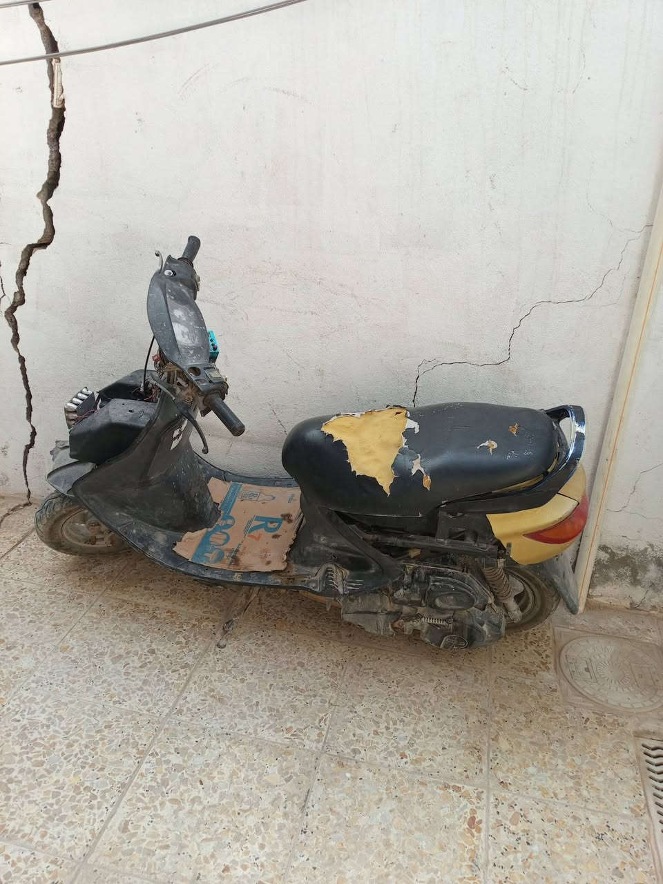 فراشه • ١٢٥ • ميسان