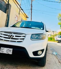 سنتافي • ٢٠١١ • صبغ عام