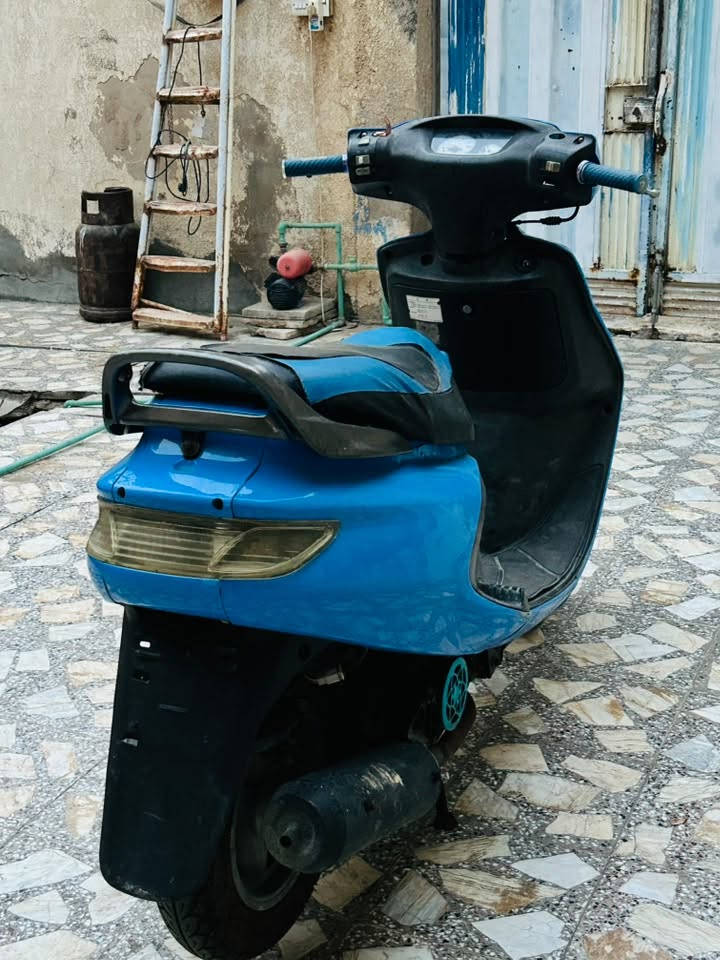 فراشة • نثية • كرنك