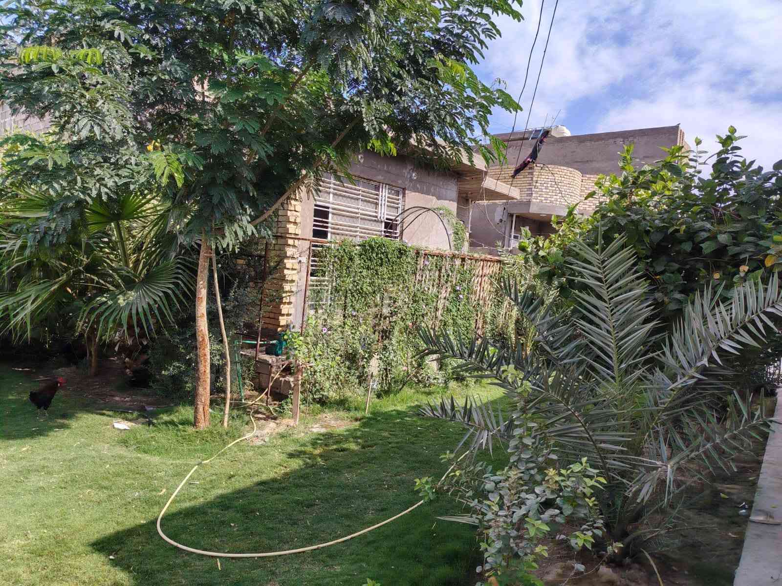 بيت للبيع مساحه البناء 250, متر مع مضيف 13 متر مع مشتمل  مساحه الارض 800 متر مثل ماواضح بالصوره عنوان البيت دوانم النهروان قرب السيطره يبعد عن الشارع العام 100 تقريبا باقي التفاصيل اتصل على الرقم ***********
