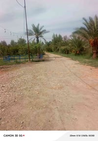 العزيزيه واسط • ٧دونم • طابو سند