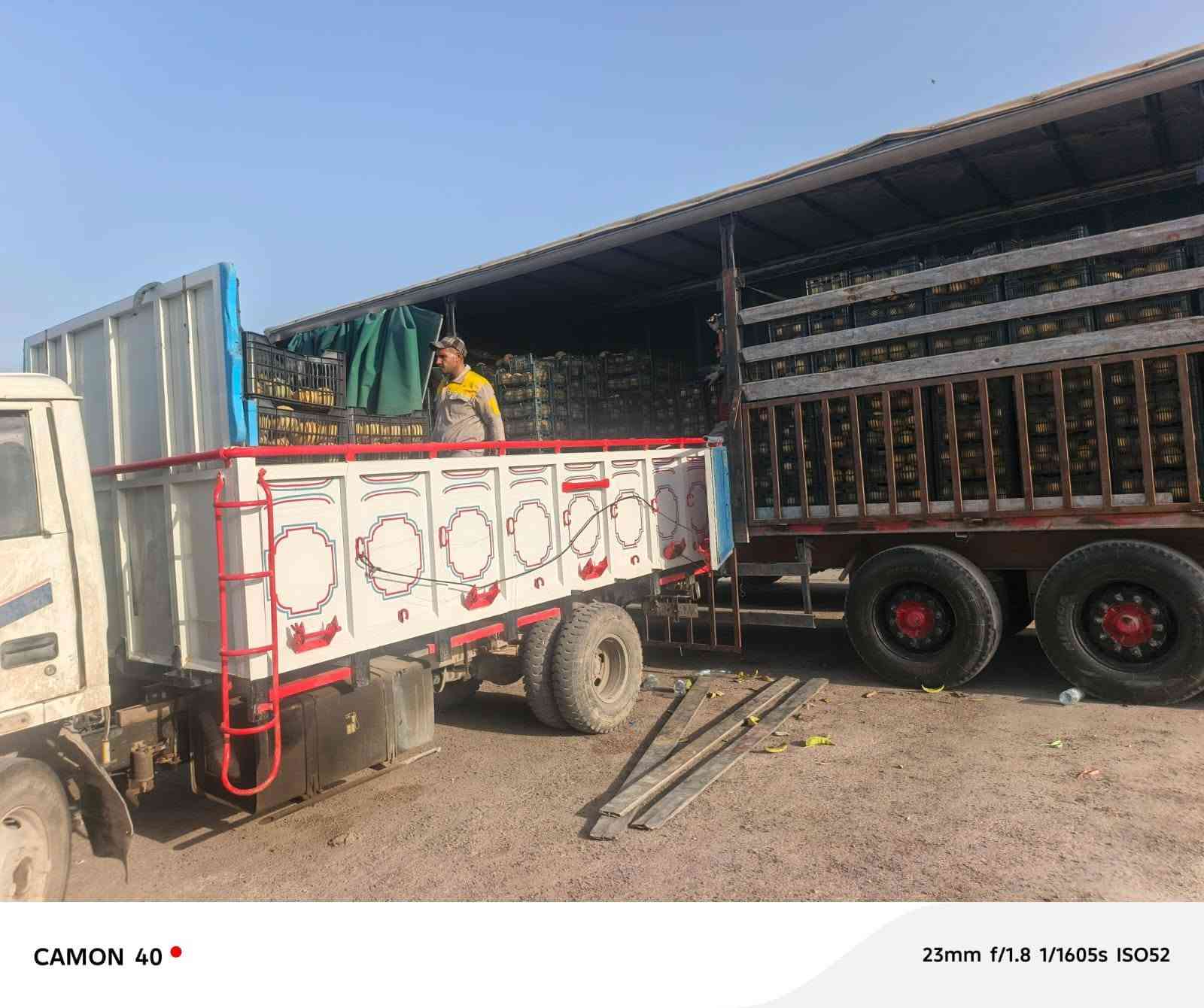 عربانة • كهرباء جاهزة • دبوني واسط