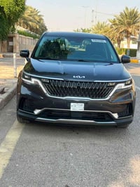 كرنفال • ٢٠٢٤ • وارد امريكي