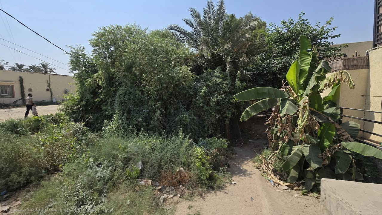 ارض زراعية للبيع 

🔴 التفاصيل 

🔹️ مطلة على شط الكوفة 
🔹️ على الشارع العام 
🔹️ العرض 12.5 متر 
🔹️ النزال 50 متر 
🔹️مساحة الأرض الكلية 625 متر
🔹️ طابو زراعي سند 25
🔹️ تحتوي على اثنين مشتملات 
🔹️ متوفره جميع الخدمات 

🔴 السعر 110 مليون 

🔸️ الموقع : الكوفة شارع ال عيسى 

للتواصل والاستفسار
*********** 
***********
امجد ابو حسن
