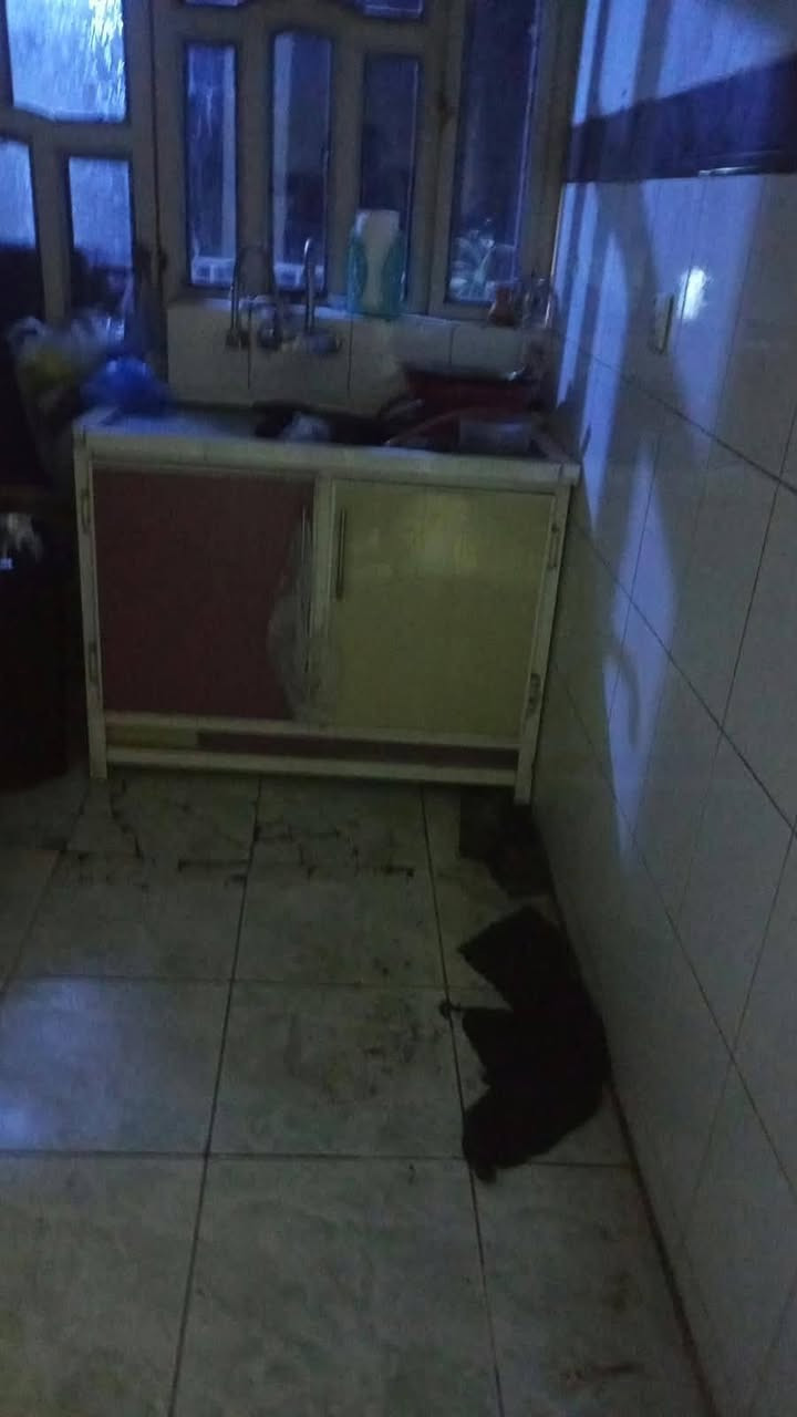 ثلاجه سعره 175 كاونتر سعره 165 مجمده سعره 175 بي واتس واكو توصيل ‎***********
