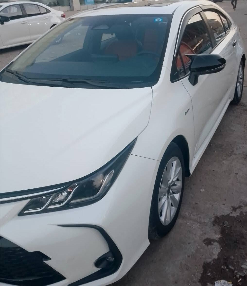 كورلا هايبرد • ٢٠٢٥ • رقم بغداد