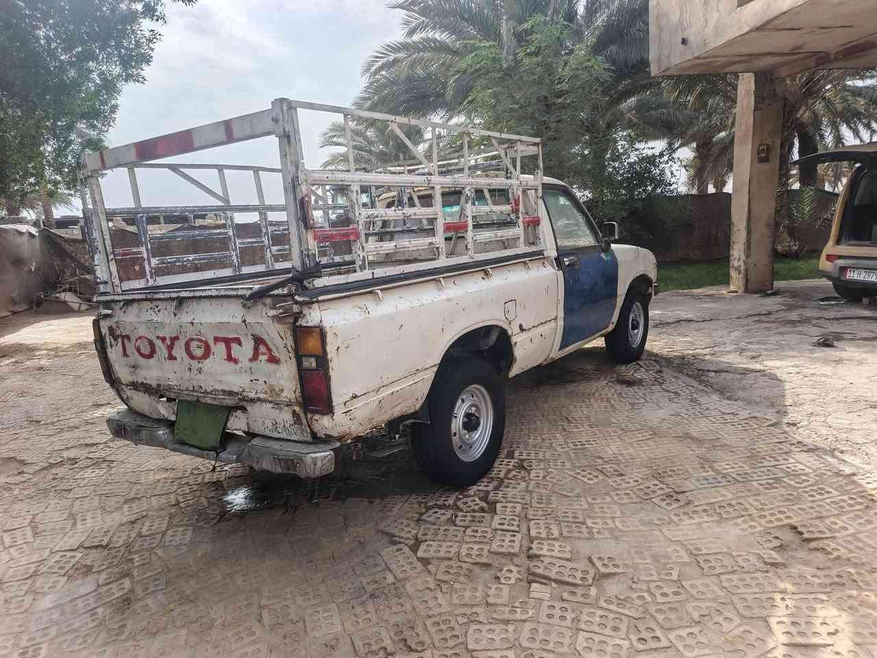 شاصي ٨٢ • مكفولات • رقم ديالى