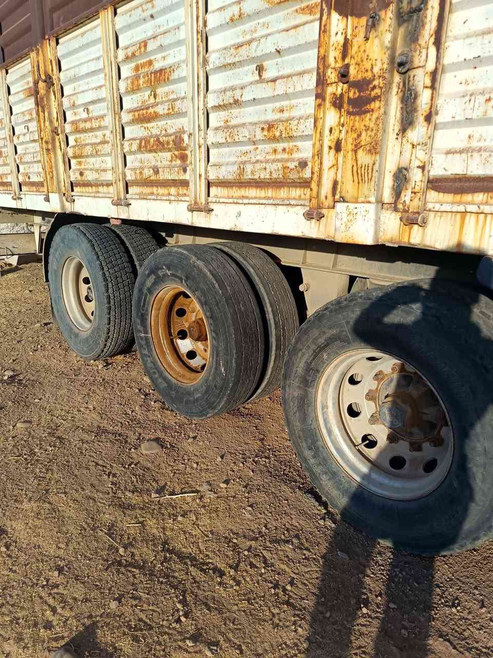 هعربانه البيع فصال تركيه شاصي اوربي تايات 11ونص رفيع اربع ازواج جديدد الثالث رفاع طول 13//و60// ***********//***********|| مكلف بلنشر @
