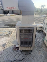 مبرده • باكيت • جديد