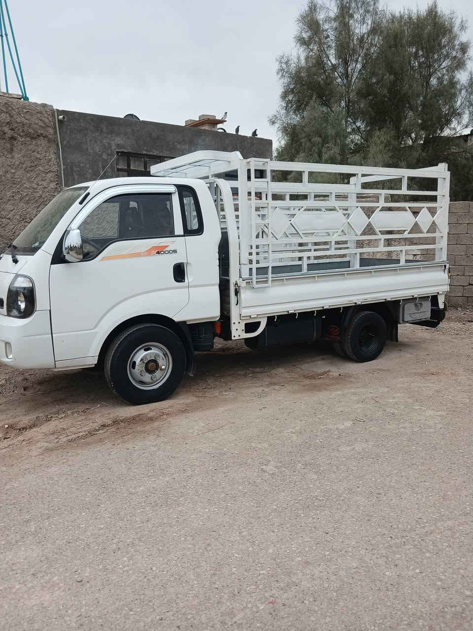 ٢٠١٨ • بلا صبغ ولا ضربة • بسماية بغداد