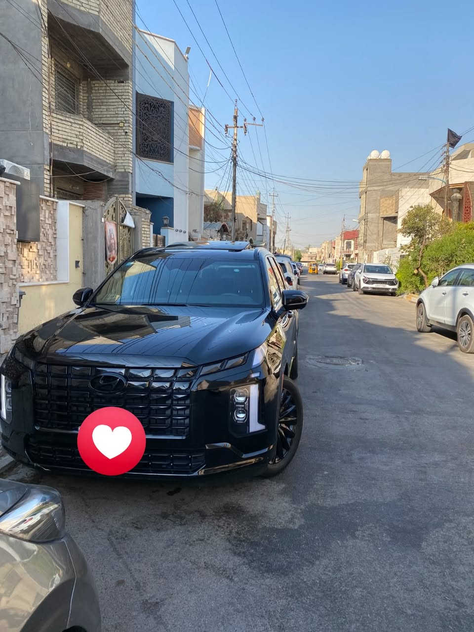بلاسايد ٢٠٢٤ • ٦٠٠٠ كم • رقم شهداء