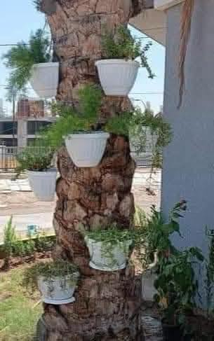 عرض محدود • ٤ قطع • حجز واتساب