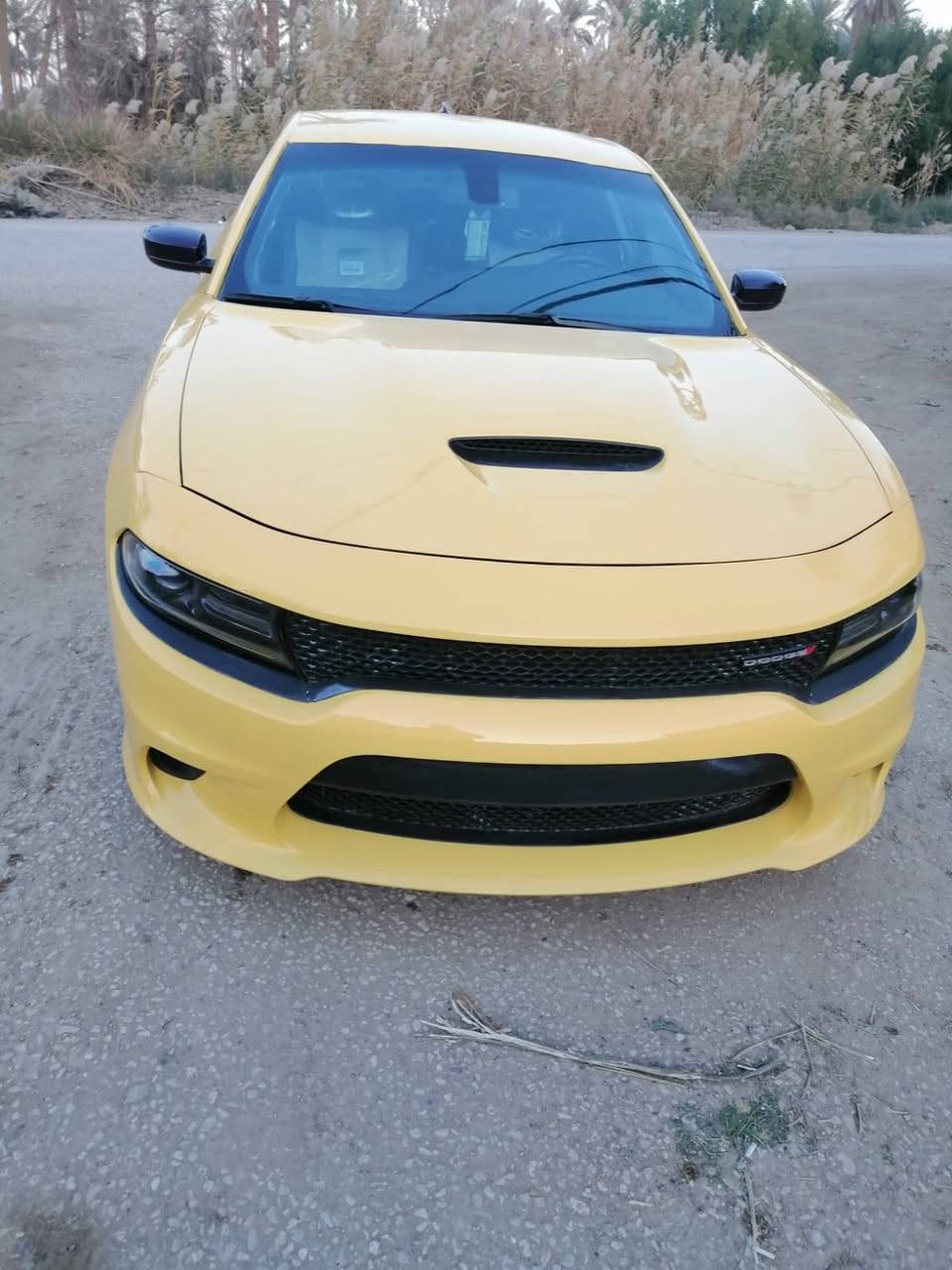 سلام عليكم 
للبيع فقط جارجر GTجيتي اصل موديل 2020 اصل حادثها الجاملغ الايسر مبدل  فقط لاشواصي ولا لغد رقم بغداد كامله من كل النواحي تخم تاير كير محرك تبريد 
كشن عضلات الكبير خطها كربلاء بصره 
مكان السيارة كربلاء طويريج السعر 225 وبيه مجال للإستفسار الاتصال على الرقم *********** واتساب موجود عمار الجميلي
