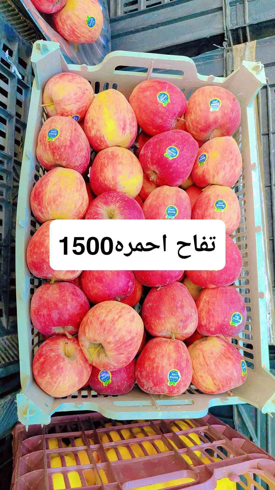 بقالة الالوسي • فواكه خضار • توصيل