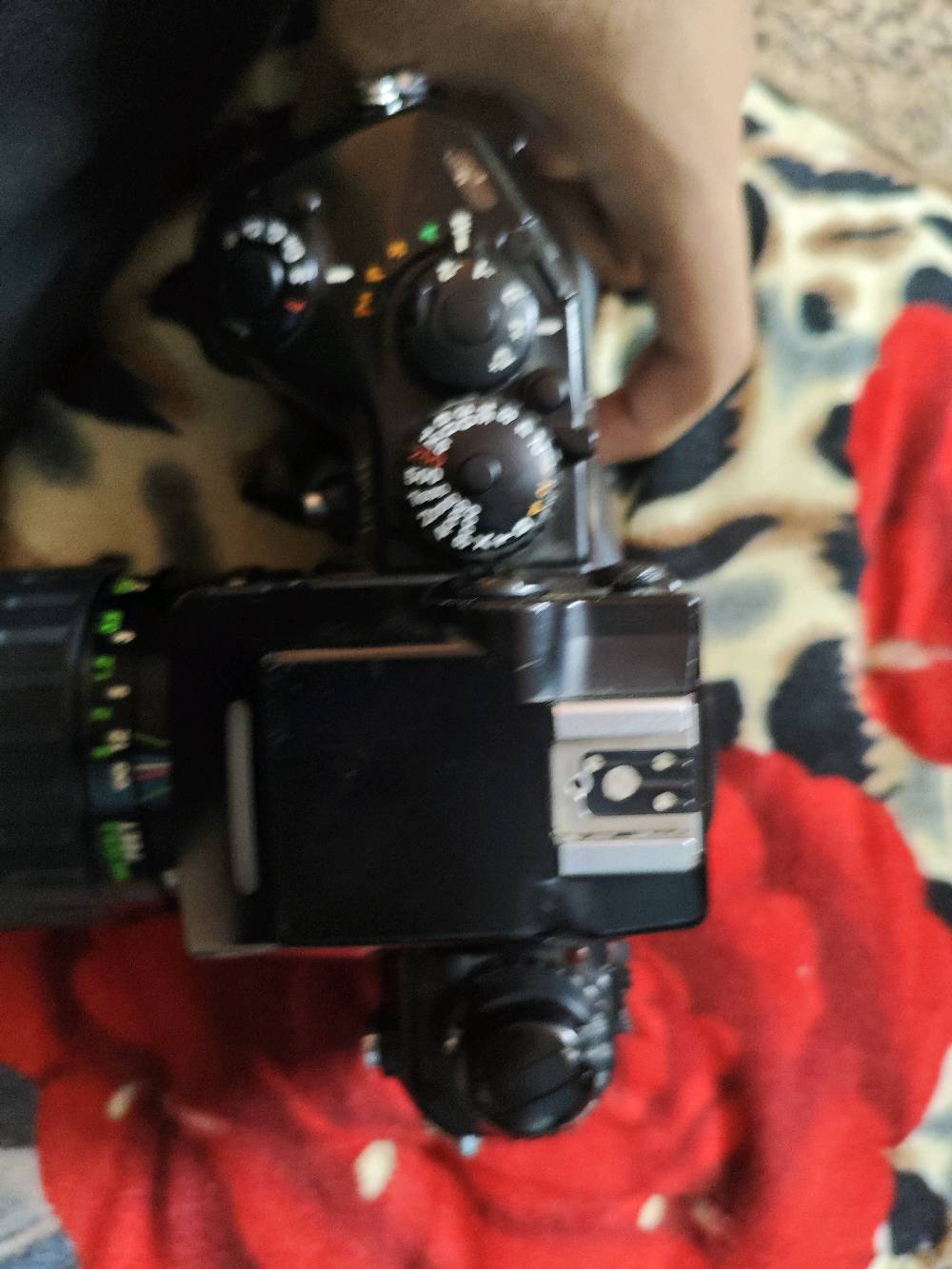 📷 كاميرا فلم Nikon F4 + عدسة Vivitar 28-70mm للبيع

كاميرا نيكون F4 الاحترافية (فلم 35mm) من الفئة الكلاسيكية، مع عدسة Vivitar زوم 28-70mm f/3.5-4.5 ماكرو.

✅ الكاميرا تشتغل والشتر يسمع صوته
✅ العدسة والزوم يشتغلون
✅ الشكل الخارجي نظيف

⚠️ ملاحظات بصدق:
- موجودة نقاط سودة (مصوّرة بالصور)
- ما مجرّبة بفلم
- تحتاج 4 بطاريات AA

💰 السعر: 450 ألف دينار (قابل للتفاوض شوية)

📍 التسليم والفحص بالمكان قبل الشراء، والمعاينة مفتوحة.
للتواصل: رسالة على التطبيق أو الرقم. ***********