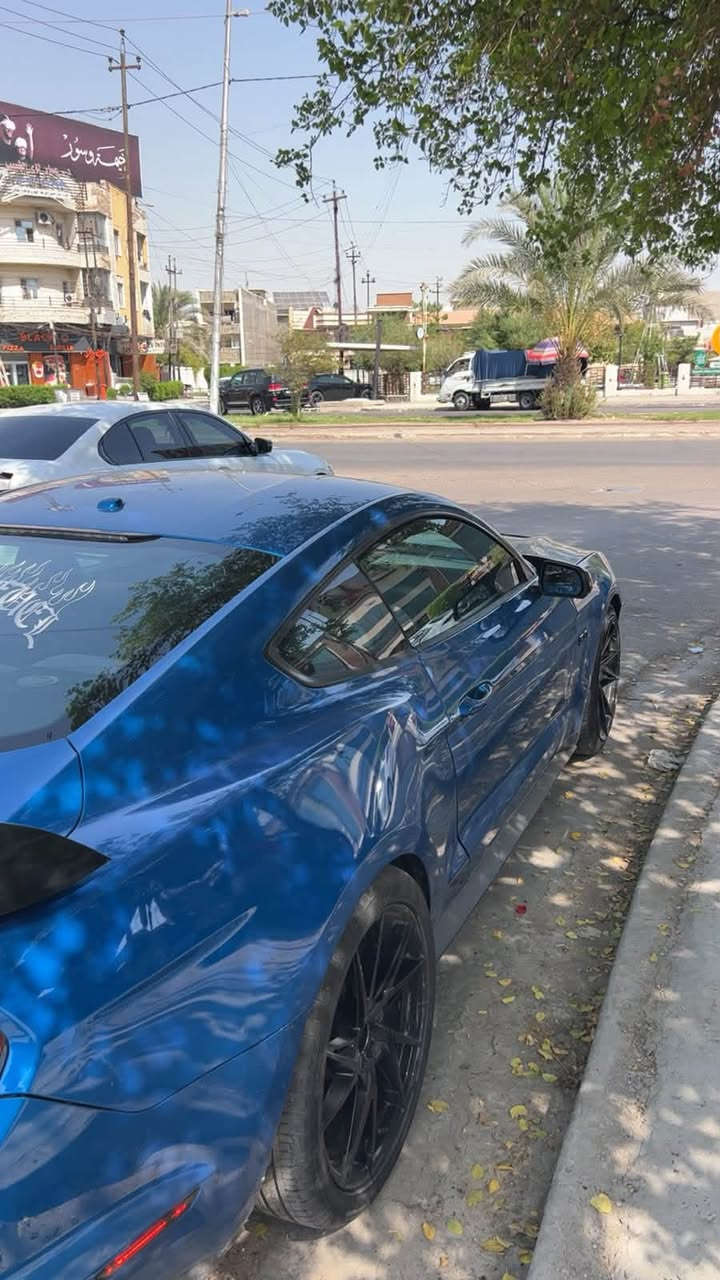 موستنك موديل 20فوك نضيفه لون مميز مزوده بمجمع كاربون فايبر 4سلندر حادثه بس بنيد قطعه وحده سعر 120
الستفسار ***********
