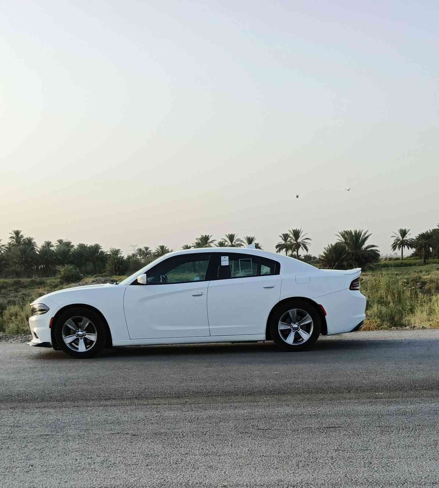 سلام عليكم 
للبيع جارجر 2016  sxt وارد كندي 
رقم بغداد 
تبريد ثلج تخم تاير وحداديه ماناقصه برغي 
حادثها قطعه وحده بس الجاملغ بدون ايرباك بجم كبس 
السعر 188 مايعجبك لا تخابر ولاتعلق *********** العنوان بابل القاسم ع حلة, بابل
