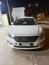 ٢٠١٧ • كفالة عامة • بدن مصبوغ