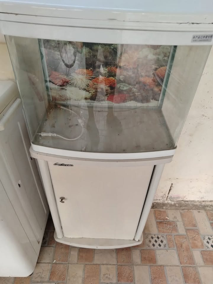 للبيع قيم وتدلل 

‭***********‬
