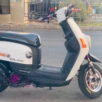 بوليس • بوش 55 • سلف