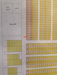 توزيع بلدية الفلوجه • ٢٥٠م • شارع ٢٠م