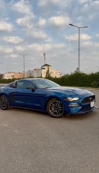 موستنگ ايكو • ٢٠٢٢ • رقم اربيل