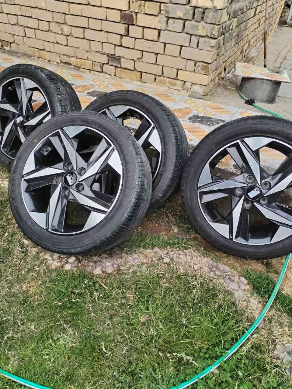 تخم تواير+ويل كب.     مال النترا 23. 

تواير انتاج 2025 و واحد منهن بي نفخه صغيره فقط. السعر 300.  المكان غراف 
***********
