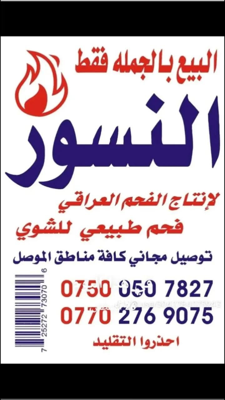 فحم النسور • فحم طبيعي • للجملة
