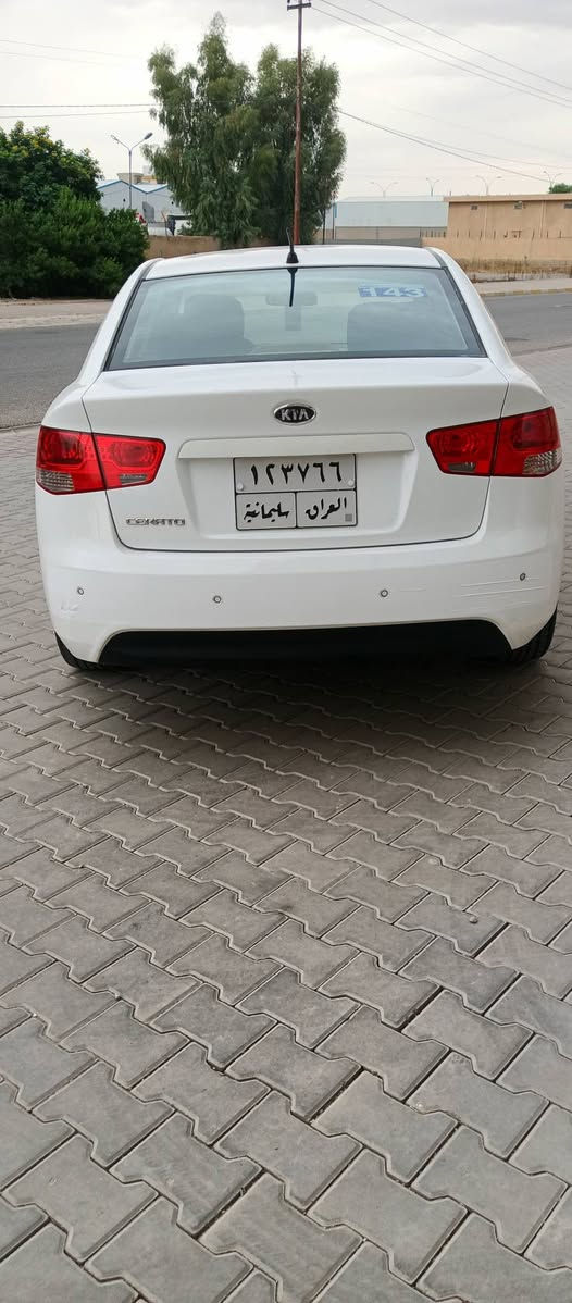 سيراتو • ٢٠١١ • كفالة عام