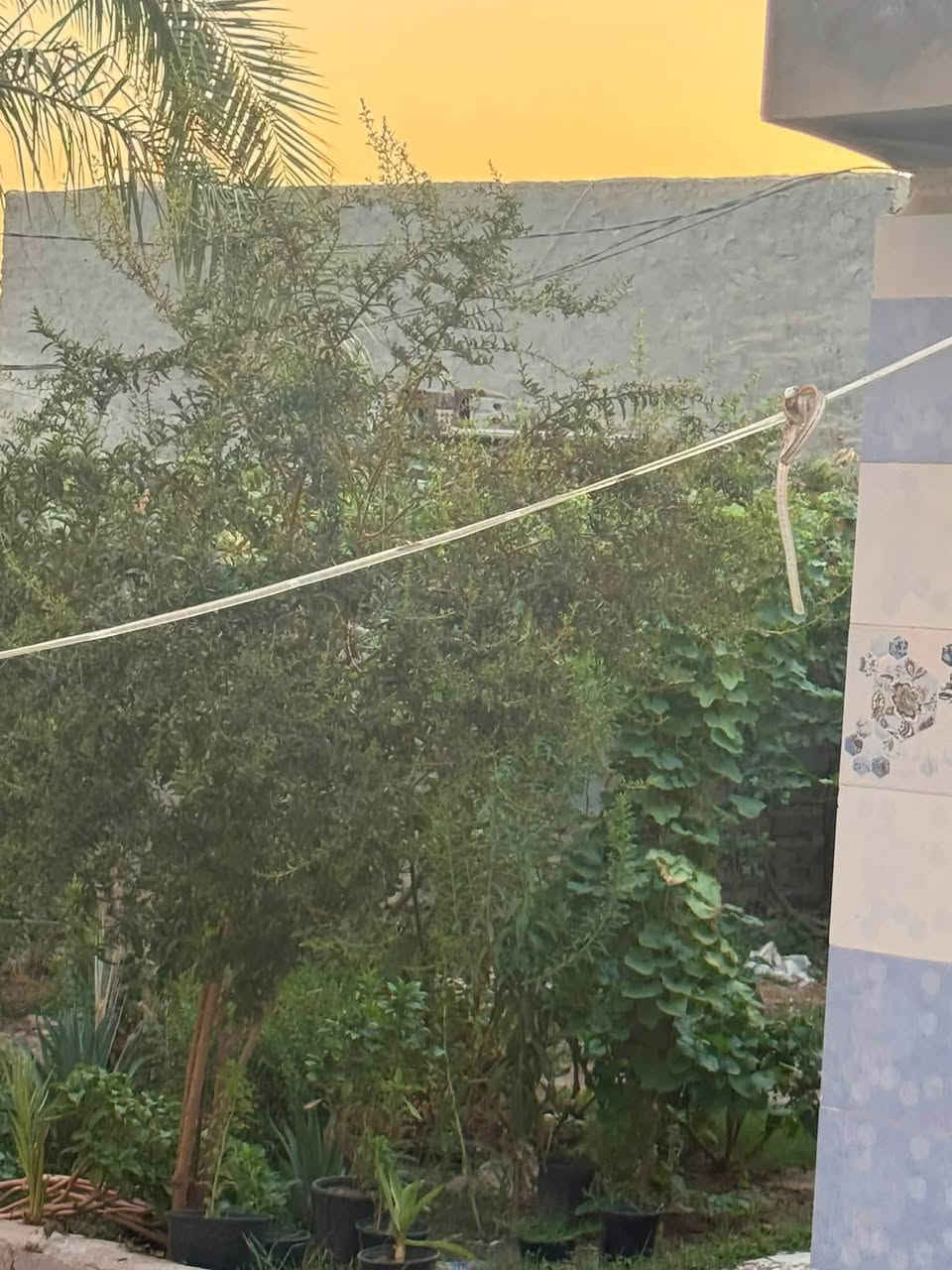):
💥 فرصة عقارية لا تُفوّت من مكتب الوسام الذهبي! 💥
دار للبيع بموقع ممتاز ومساحة واستغلال مثالي للغرف 🏡👇
📍 الموقع: حلة بابل - مدينة الثورة (قرب بيت حجي سوادي)
📐 المساحة: 150 متر مربع
📜 النسك والملكية: طابو صرف (جاهز للتحويل)
🛣️ الخدمات: المنطقة مخدومة بالكامل (مجاري، ماء، كهرباء، شوارع مخدومة)
✨ مواصفات البيت (طابقين):
▪️ 4 غرف نوم واسعة
▪️ صالة واسعة + كوليدور بتوزيع ذكي
▪️ مطبخ مرتب
▪️ 3 مجمعات صحية
▪️ حديقة إضافية تميز الدار وتوفر مساحة خارجية حلوة
💵 السعر: 185 مليون (وقابل للتفاوض )
📲 للحجز والمعاينة والتفاصيل:
واتساب: ***********
🏢 مقر المكتب: حلة بابل - زوير الغربي (مكتب الوسام الذهبي)
