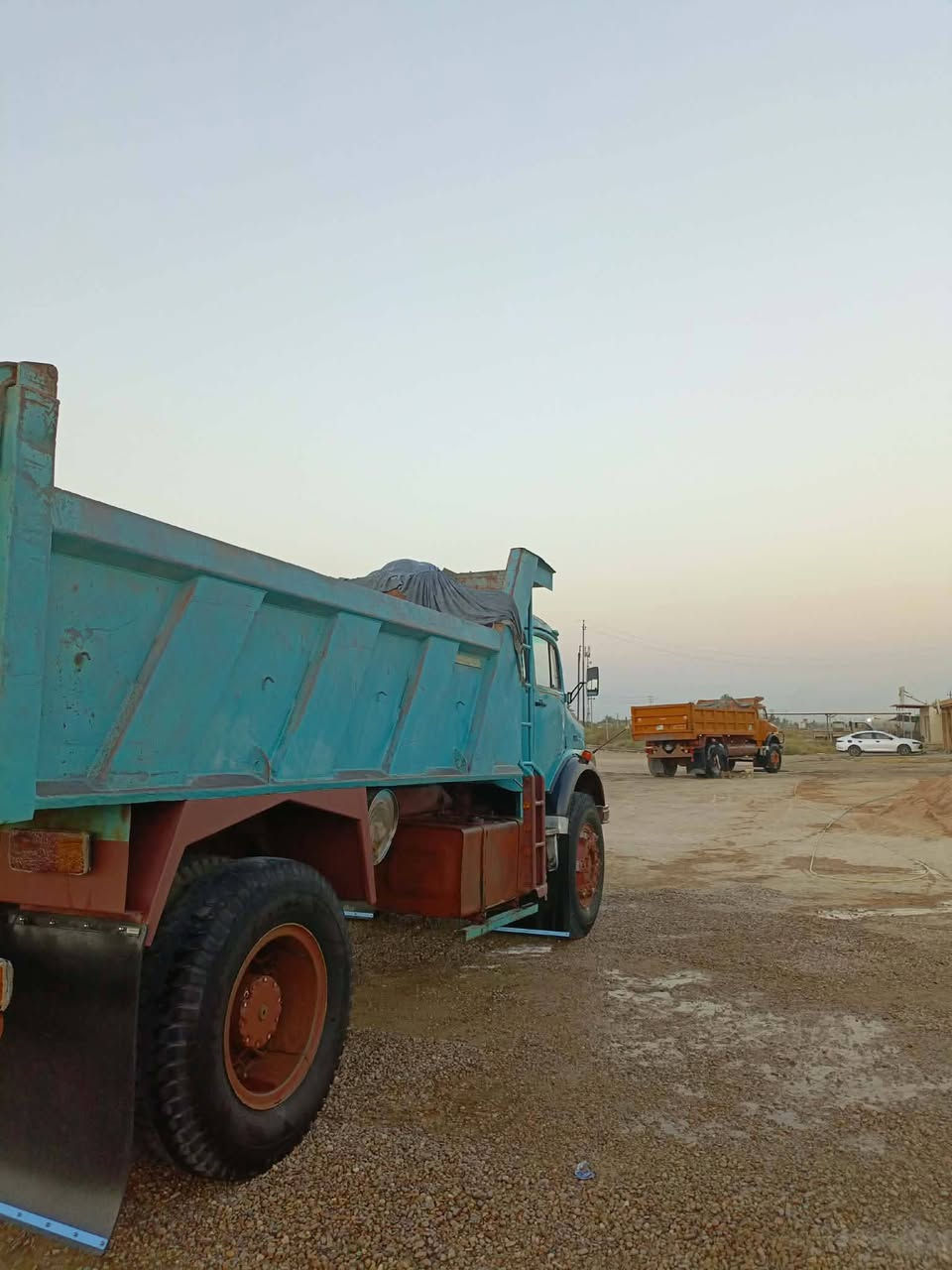 مايلر • ٨٠ • مكفوله