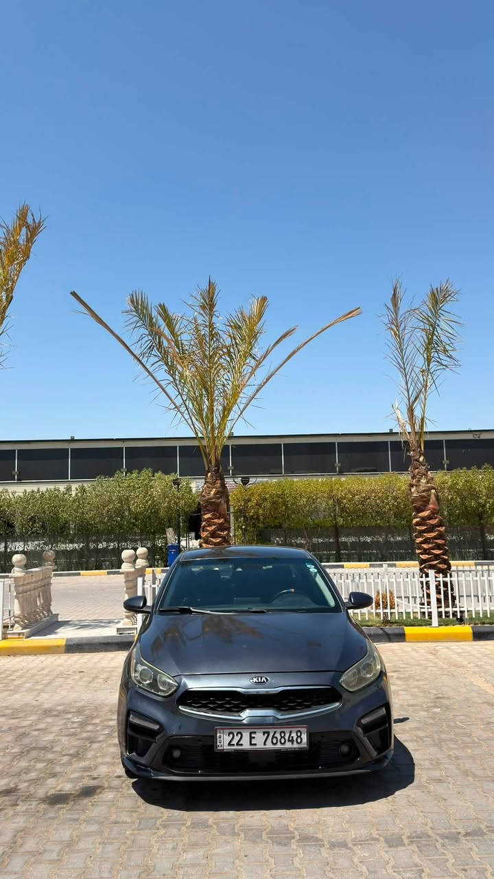 السلام عليكم
كيا فورتي لون نفطي 
سعرهه 110وبيهه مجال بسيط 
موديل (2020)
ماشيه 108 . الف 
حادثهه جاملغات امامي وبنيد 
وبيهه طخات بل الجاملغات الخلفيه على وضهن رصعات خفيفه موضحات بل الصور 
 مواصفات :
تشغيل عن بعد 
شاشه جبيره 
اناره داخليه محيطيه تتغير بل التلفون 

السياره عليهه منضومه غاز تانكي (60)لتر 

هـ: ***********

مكان السياره بغداد العامريه
