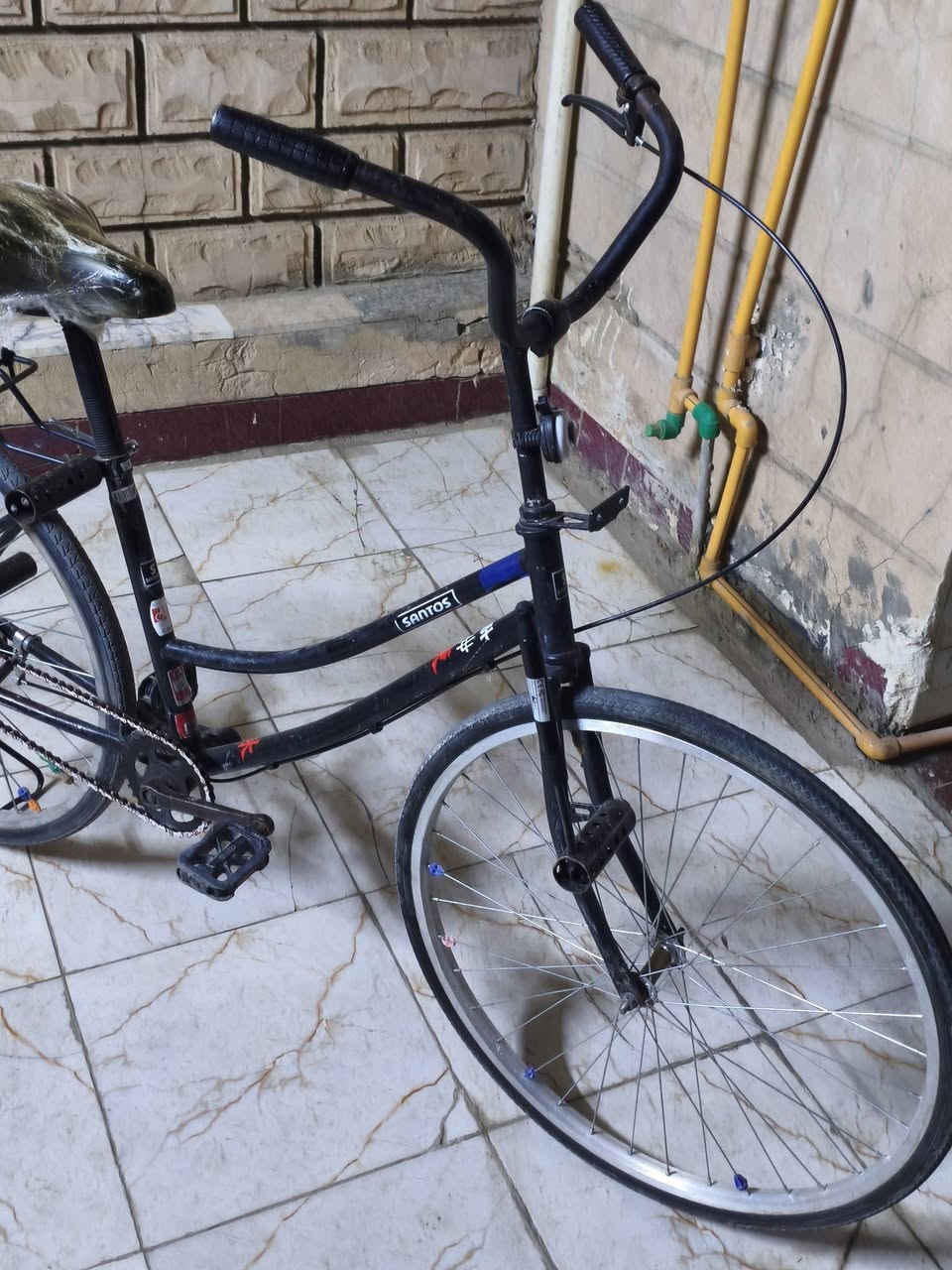 باسكال • جديد • بغداد