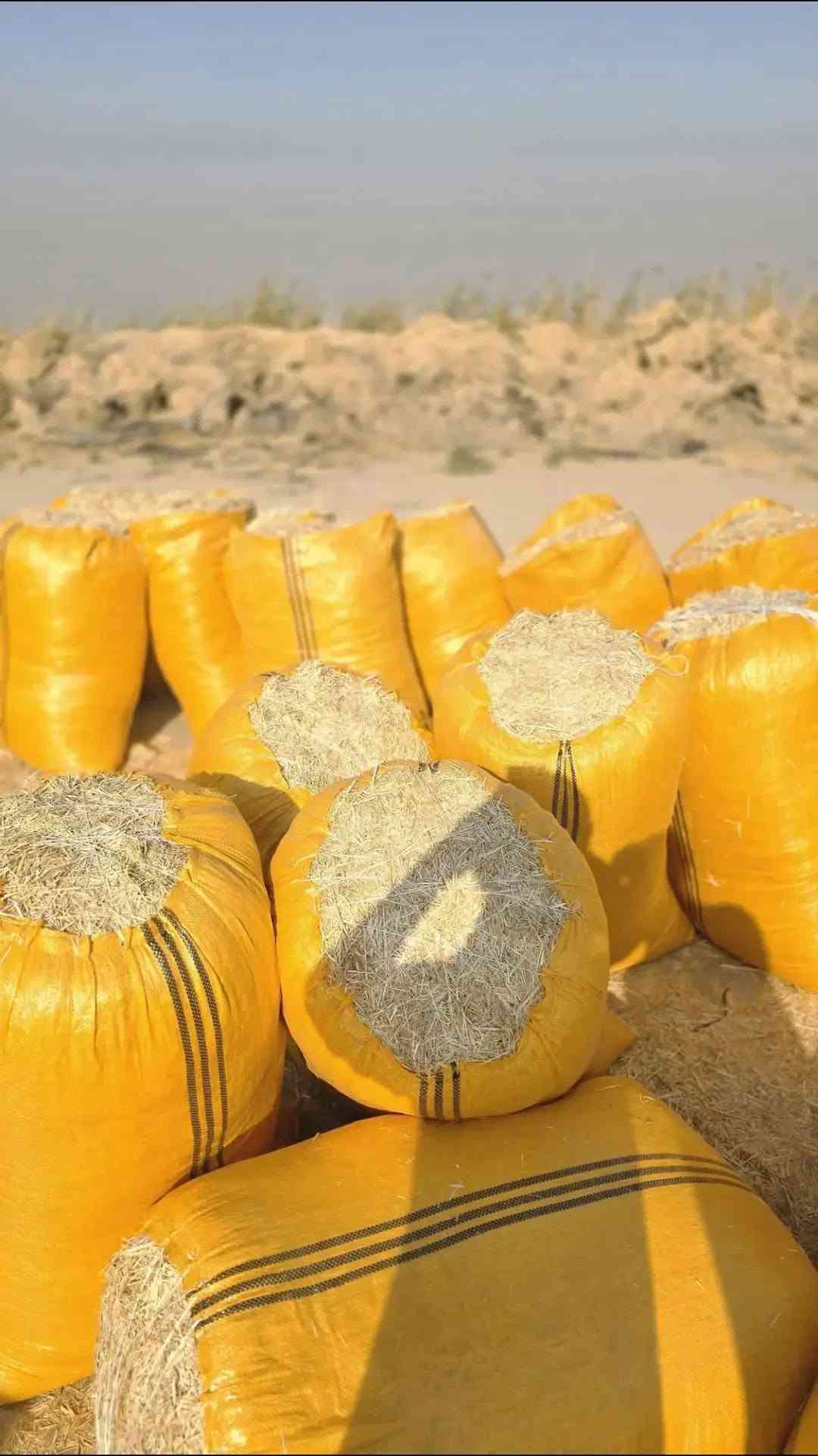تبن مطحون واصل جميع محافظات العراق جميع أحجام الجيس موجود كل حجم اله سعر ترس فول وتبن نضيف شرط للاتصال واتساب أو اتصل ***********

نص مكتوب في الصور:
- زوجة ٣ واصل ٦٠ في ٨٠
- ٦٠ في ٩٠ زوجة ٣ ونس
- ٧٠ في ٩٠ زوجة ٤ ونص واصل
- ٧٠ في ٩٠
- ٦٠ في ٨٠
- ٠٧٧٣٣٧٥٨١٥ واسط
- عرض 90 طول 115