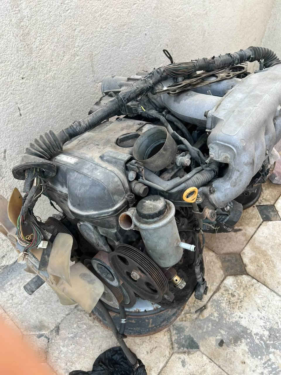 محرك وكير 3000 مع تفرعاته
ضفيره وعقل كامل
الكير جديد والمحرك بي صوت خفييف
السعر 12 ورقه
العنوان: البصره حمدان البز
هاتف: ‭***********‬
