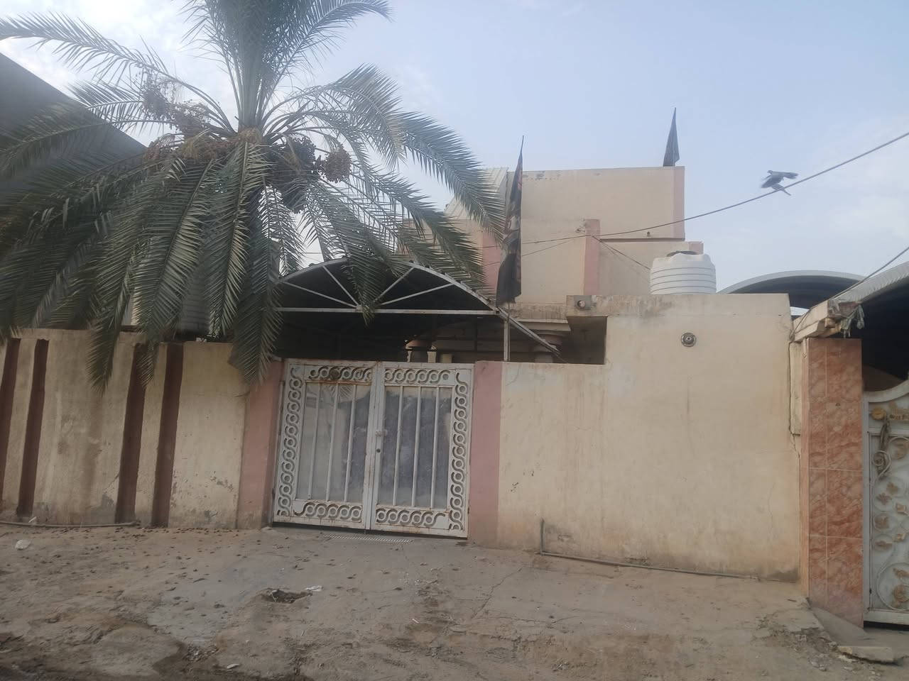 الحلة حي المهندسين • طابو صرف • ٢٥٠م