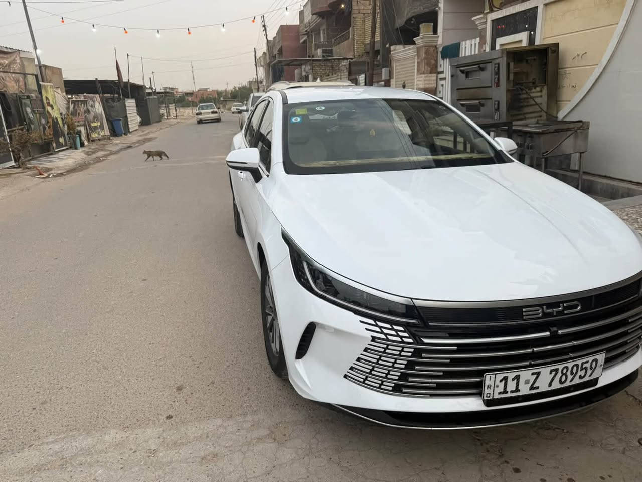 دست ريول • ٢٠٢٥ • رقم بغداد