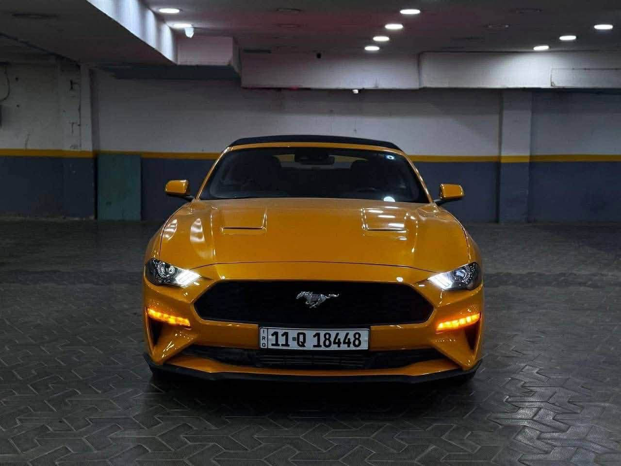صيغة الإعلان الكاملة للبيع (جاهزة للنسخ والنشر):
فورد موستنج كشف (Mustang Convertible) موديل 2022

​المحرك: 4 سلندر 2.3L EcoBoost

​اللون: أصفر كشف (سقف أسود)

​رقم الشاصي

​رقم السيارة: بغداد

​تفاصيل البودي والحادث (حسب فحص تقرير المندلاوي):

​جاملغ أمامي أيسر (مفتوح + صبغ + رصعة نكمة داخلية يسار)

​جاملغ أمامي أيمن (مفتوح + صبغ)

​باب الصدر (صبغ)

​سنيد (مفتوح + صبغ)

​دعامية أمامية (صبغ)

​الشاصي واللغود بشرط الفحص، وتوجد شحوط ورصعات متفرقة بسيطة.

​السعر المطلوب: 180$ - قابل للتفاوض البسيط

مكان سياره ديوانيه مركز
***********
