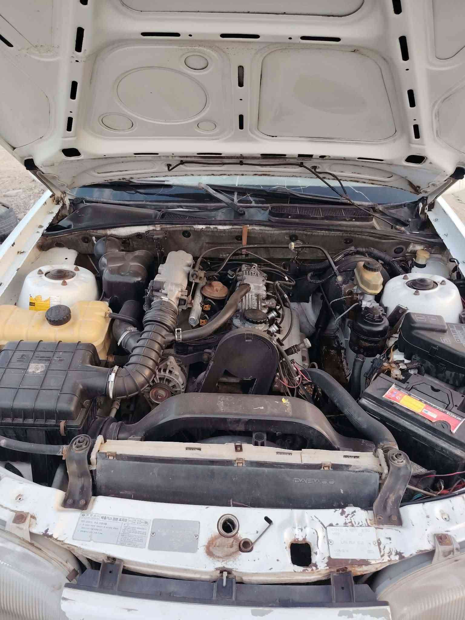 دايو برنس • ١٩٩٥ • بدون صبغ