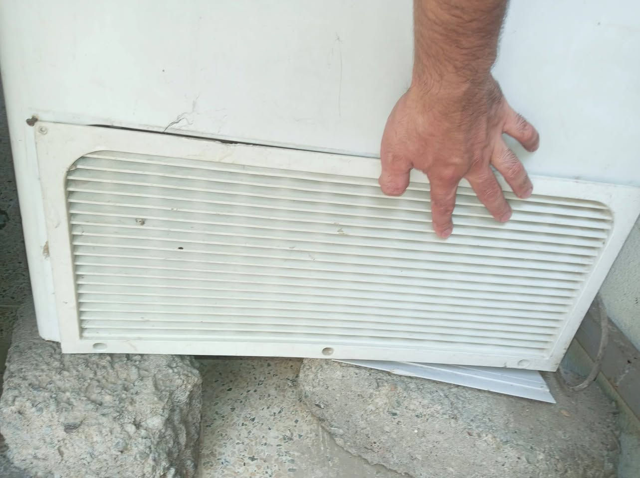براد • شغال • ١١قدم