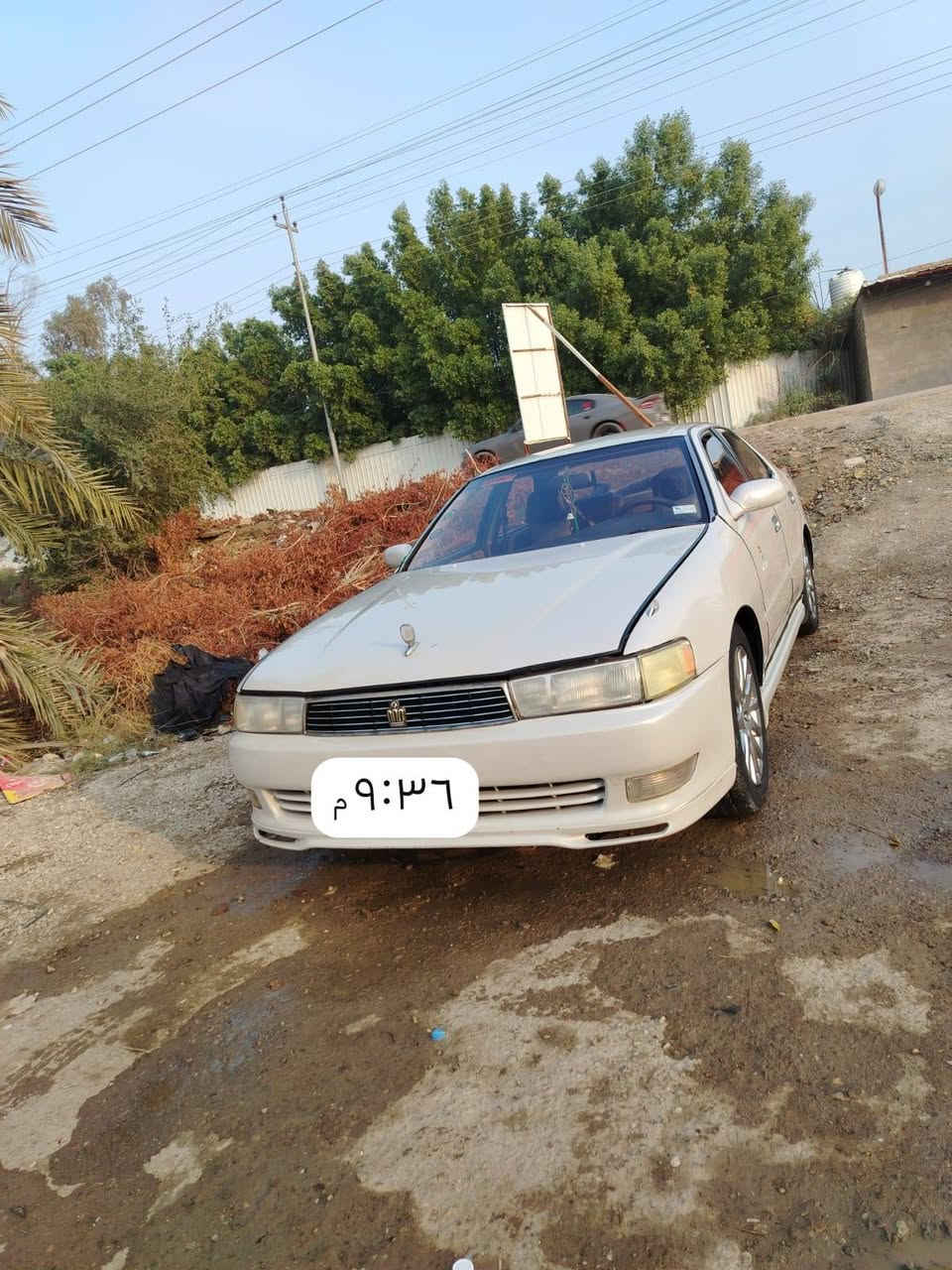 كرسته • ١٩٩٢ • سوك الشيوخ