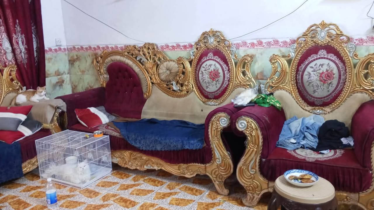 جميع الأغراض سعر رخيص رقمي ***********
