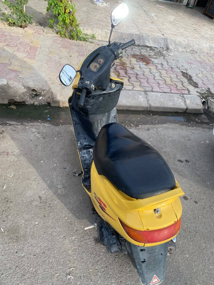 فراشة • شغال • للبيع