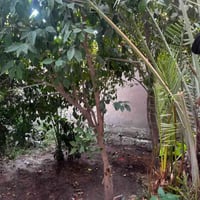 دار زراعي • ٢٠٠م • حي المرتضى