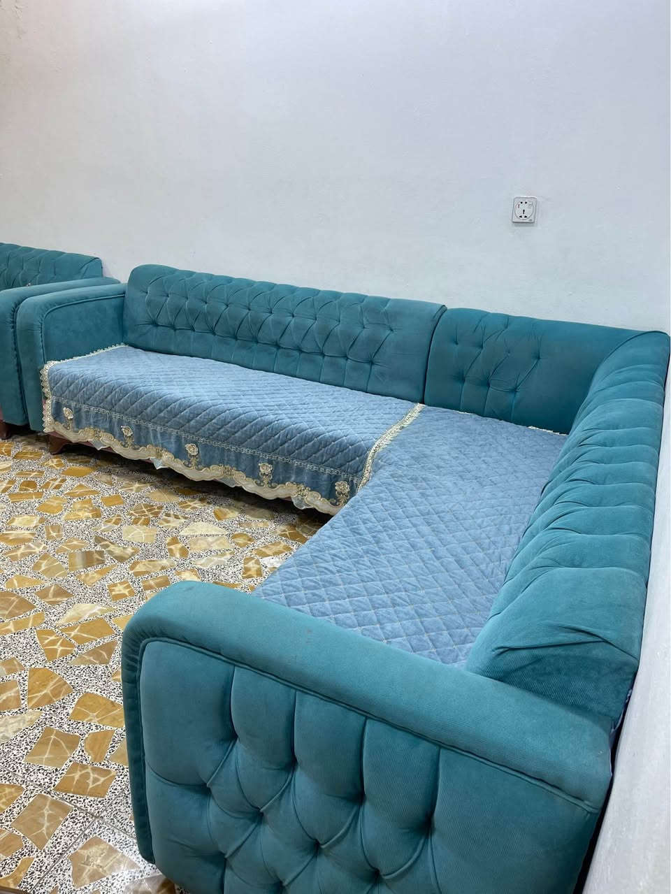 تخم قنفات تسگام درجة اولى للبيع للاستفسار اكثر الاتصال بالرقم *********** بي واتساب النجف, العراق
