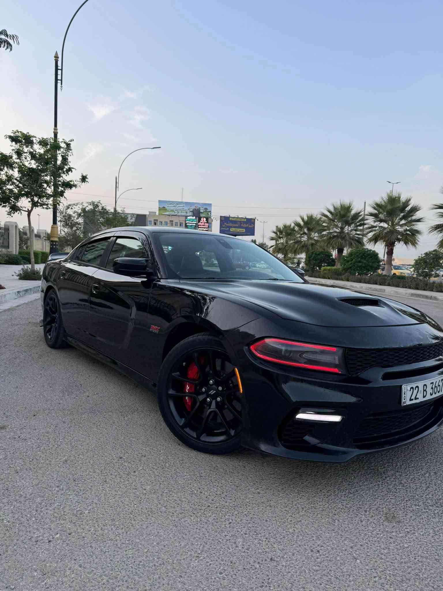 سكات باك فول • بدون ايرباك • رقم اربيل