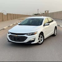 ماليبو • ٢٠٢٤ • بدون لوحات