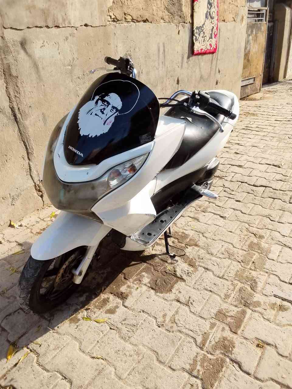 بيسي اكس جيل • مكفوله • اكسل خفيف