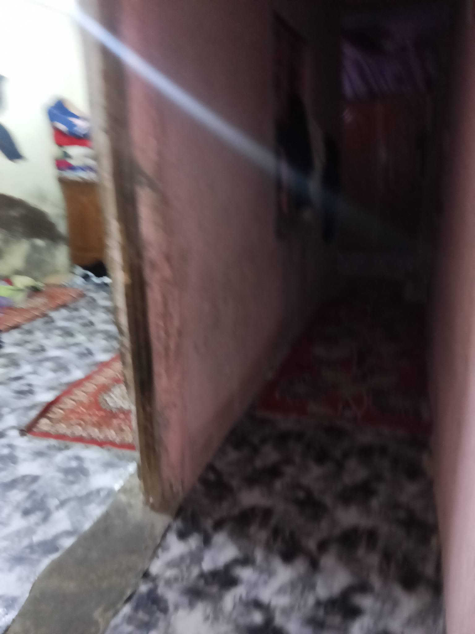بلمعقل • ٥٠م • ٣غرف